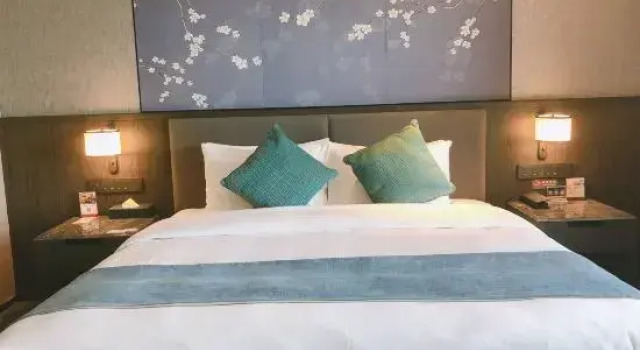 Люкс с красивым видом из окна Citilink Hotel