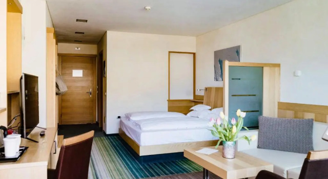 Двухместный номер Superior Hotel Lac Salin Spa & Mountain Resort