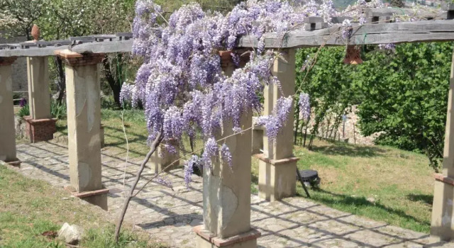 Номер Deluxe Agriturismo Il Daino