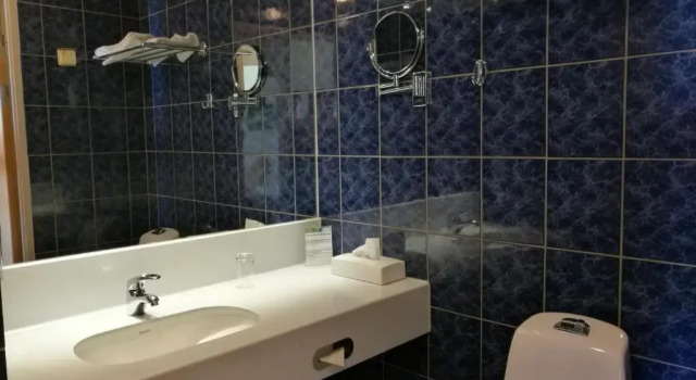 Одноместный номер Standard Hotell Erikslund
