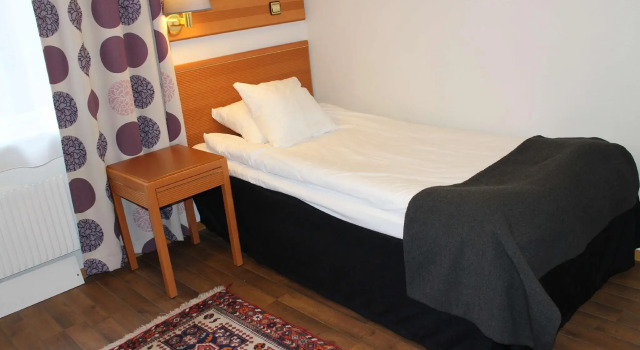 Одноместный номер Standard Arena Hotell