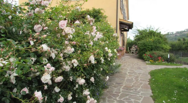 Casa Angolo delle Rose, Varaa Hotelli Orvieto Umbria