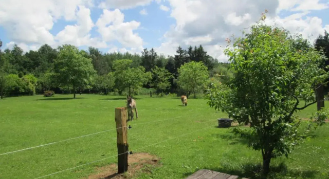 Коттедж Florennes Gîte neuf 150 M2 devant un grand lac privé de 2 hectares poissonneux au milieu des bois