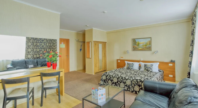 Двухместный номер Standard Аврора Wellness & SPA Hotel