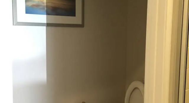 Четырёхместный номер Standard Palace Inn Gulfgate