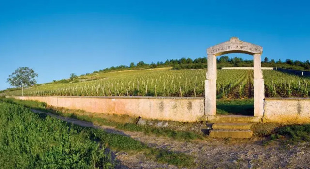 Studio Clémenceau, Rezerwuj Apartament Beaune 