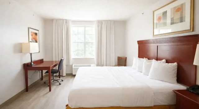 Двухместный номер Standard Seffner Inn and Suites