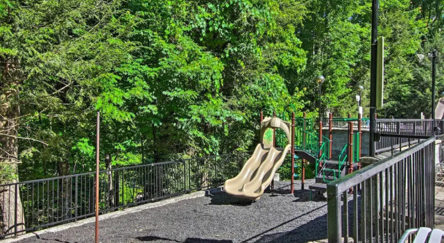 Pet-friendly Gatlinburg Retreat w/ Community Perks