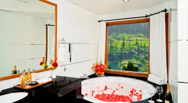 Номер Deluxe с балконом Solang Valley Resort