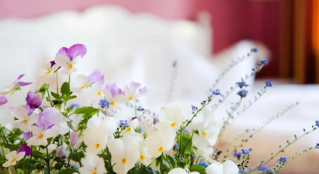 Двухместный номер Standard Hotel Villa Caldera