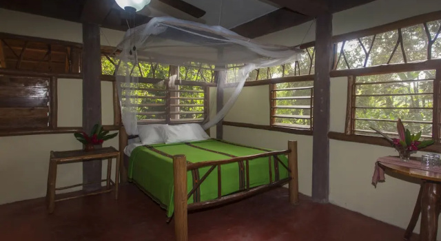 Camera Premium Cotton Tree Lodge