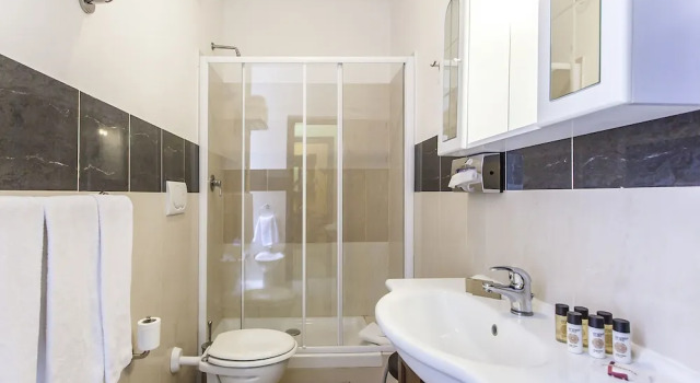 Одноместный номер Standard Hotel Regina Giovanna