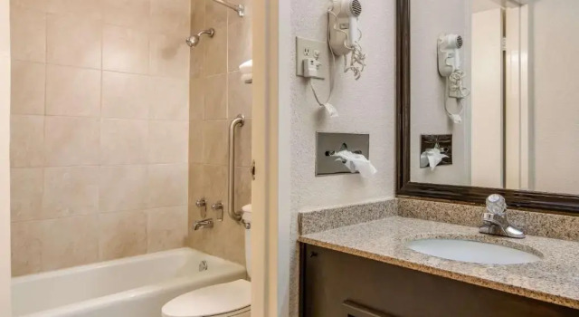Standard Zimmer Quality Inn Suwanee I-85
