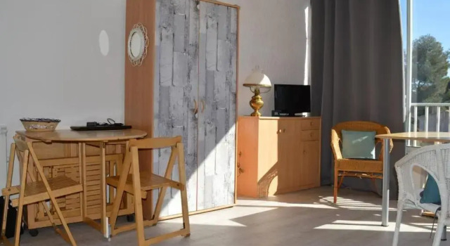 Appartement Saint-Cyprien, 1 pièce, 4 personnes - FR-1-225D-5
