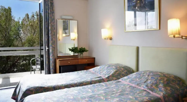 Двухместный номер Standard с видом на парк Karystion Hotel