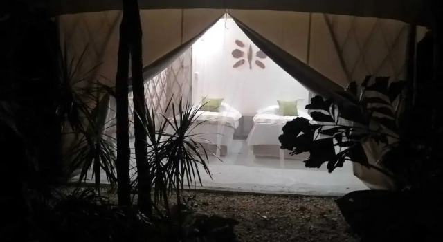 Кровать в общем номере с видом на сад Kuha Glamping