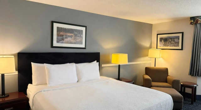 Divya Sutra Plaza and Conference Centre Calgary Airport, Book Hotel Hotels in Calgary with a Pool, Swimming Pool