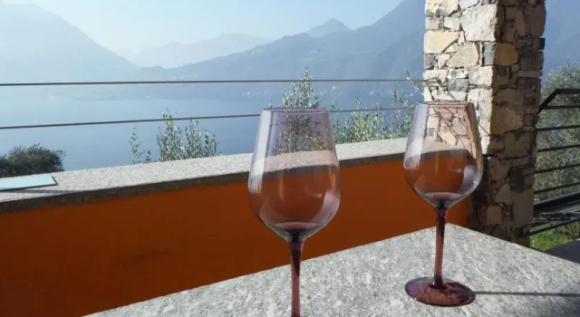 Exclusive Villa Olives Tree, Book Villa Villaer i Perledo, Villa
