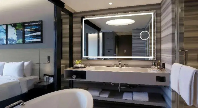 Двухместный люкс Executive Novotel Chennai Chamiers Road