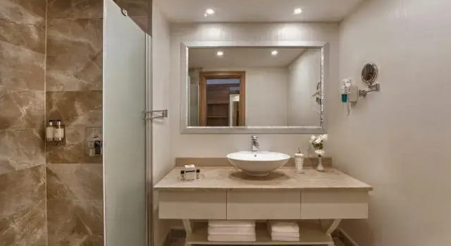 Двухместный номер Standard Botanik Platinum Hotel