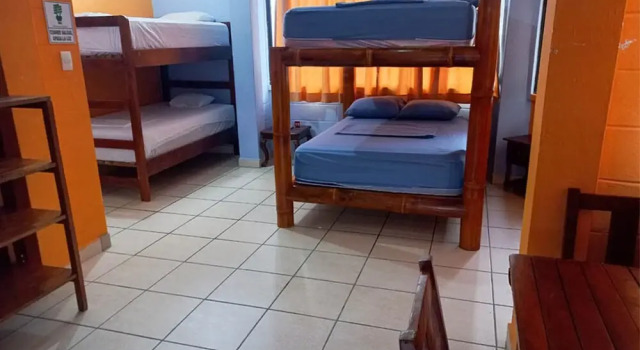 Семейный номер Standard Hotel Las Palmeras