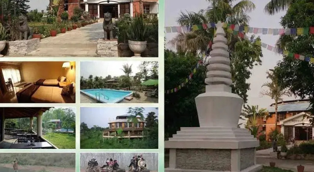 Номер Deluxe Baghmara Wildlife Resort