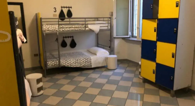 Кровать в общем номере The Beehive Hostel