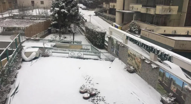 Standard Zimmer Hotel Malaga