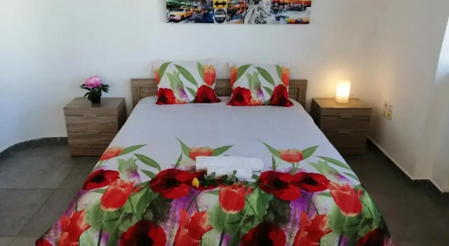 Spacious & Modern Studio Apartment Near the Airport