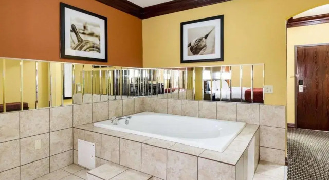 Люкс Comfort Suites Lake Jackson Clute