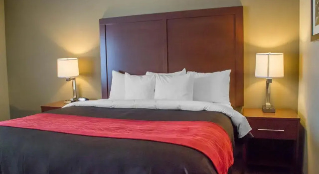 Номер Standard Comfort Inn Mayfield Heights Cleveland East