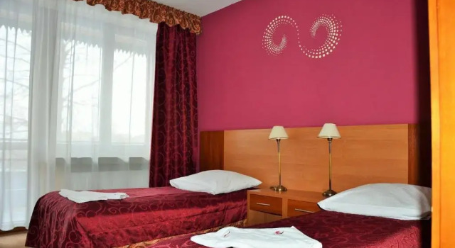Двухместный номер Standard Hotel Boruta