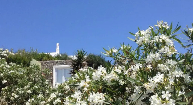 Коттедж Mykonos Love Nest