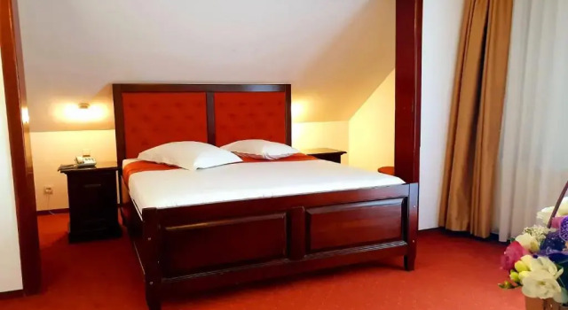 Двухместный номер Superior Hotel Piatra Mare