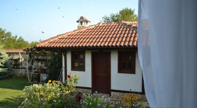 The Doctors House