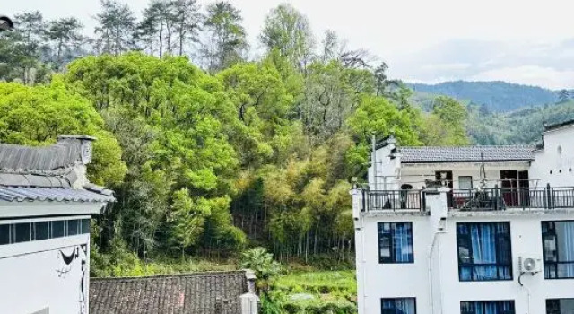 Linyun Xiaozhu Homestay, Prenota Hotel Shangrao Jiangxi