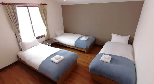 Номер Standard Annupuri Mountain View Lodge