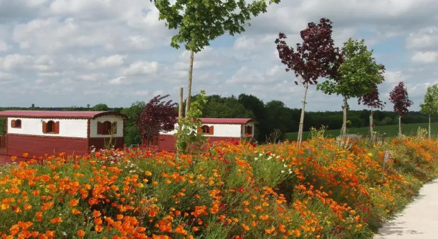 Номер Standard La Buissonnière Lodges