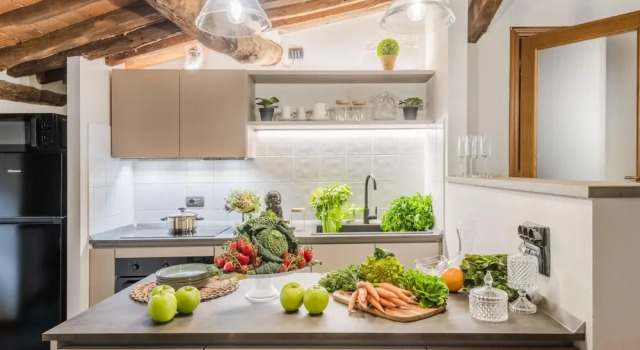 Апартаменты La Dorina Penthouse in Lucca