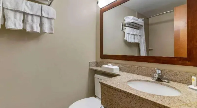 Люкс Comfort Inn Albany-South, Glenmont