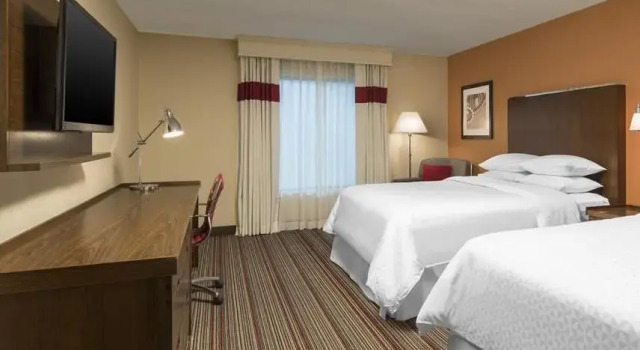Люкс Four Points Bentonville