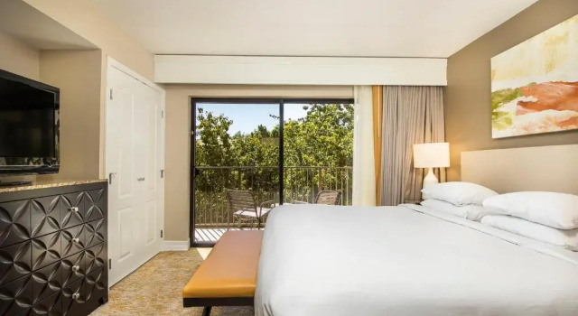 Двухместный люкс Mobility/Hearing Access Agave Hilton Phoenix Resort at the Peak
