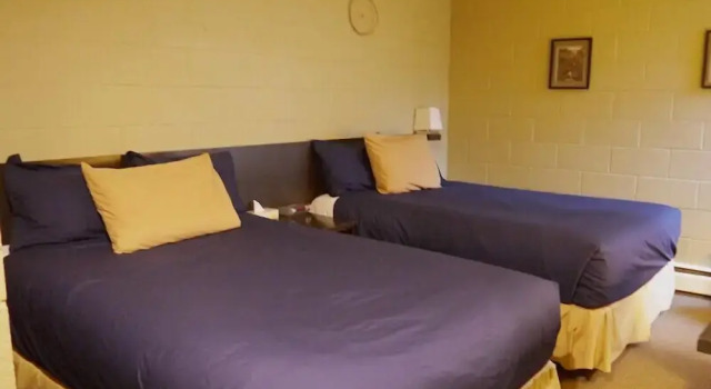 Четырёхместный номер Standard Mountain Hound Inn