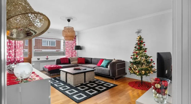 Апартаменты Superior Homelike 3BR Apt. in Centre of Rovaniemi