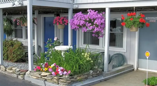 Номер Economy Sea Whale Motel