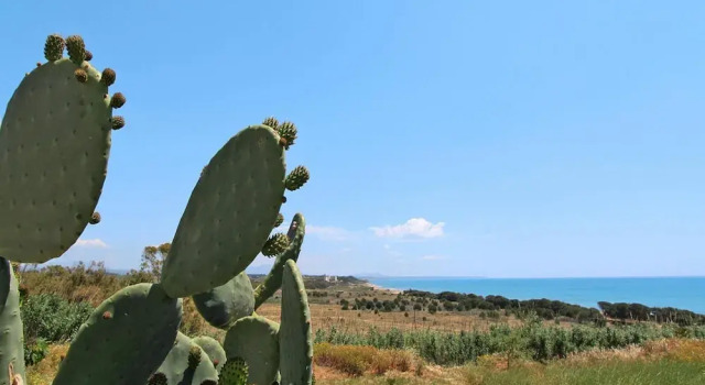 Апартаменты Apartment in Sicily Near Sandy Beach