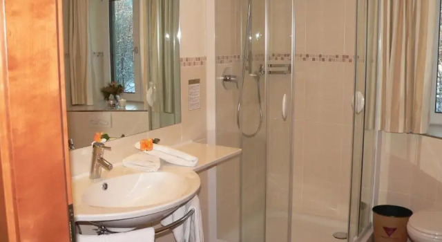 Трёхместный номер Standard Die Lilie / Hotel Garni