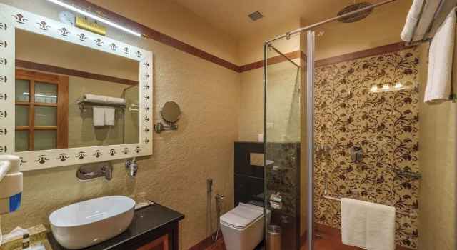 Номер Standard R Chandras Palace