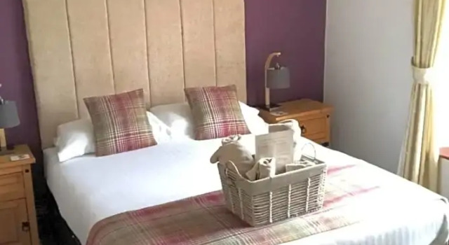 Номер Standard Kestor Inn