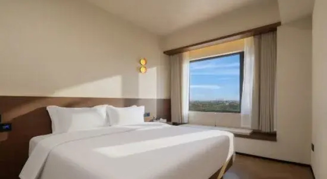 Двухместный люкс Yuanxi Design Hotel